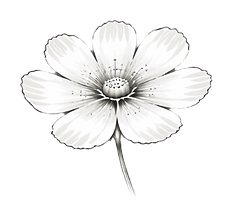 Fora Collection by Penelope Broadway - fine lab-grown diamond jewellery