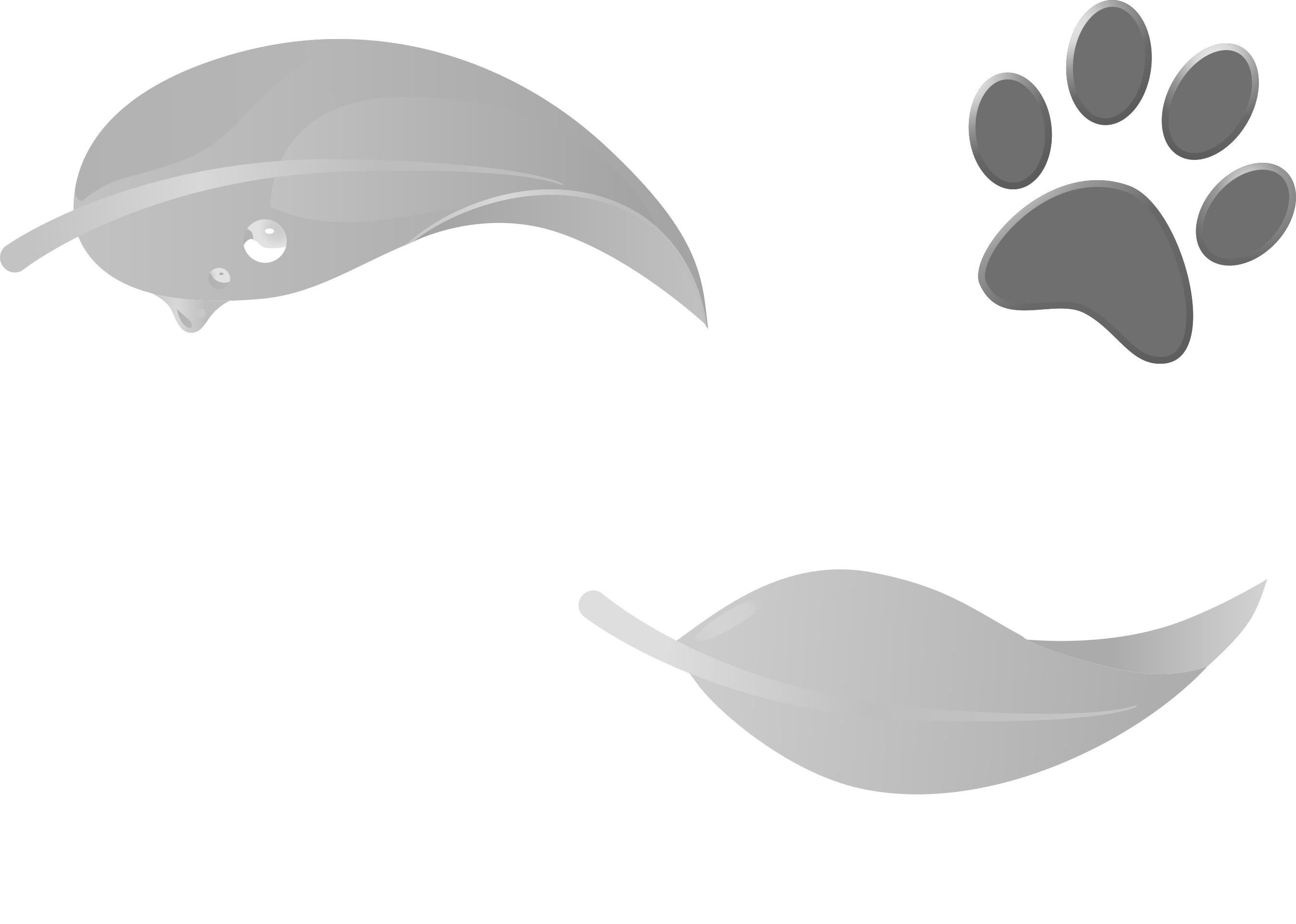 Groomers