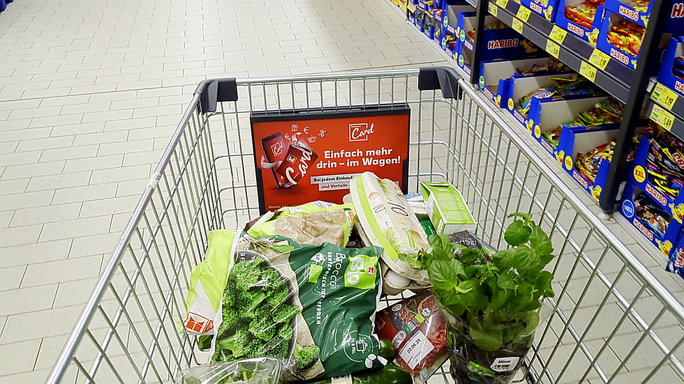 Einkaufswagen mit frischem Gemüse und echten Lebensmitteln im Supermarkt – gesunde Ernährung beginnt beim Einkauf