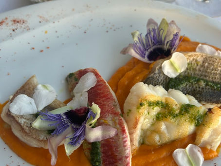 À Sagone, des restaurants ouverts même l’hiver