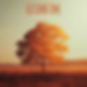 Autumn Time -  by  AShamaluevMusic  | Free Download  MP3