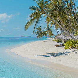 Tropical and electronic summer background music for travel vlogs, beach videos, and sunny advertisements by AShamaluevMusic, available for high-quality free MP3 320kbps download.