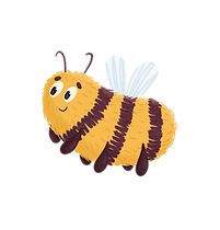 p.png