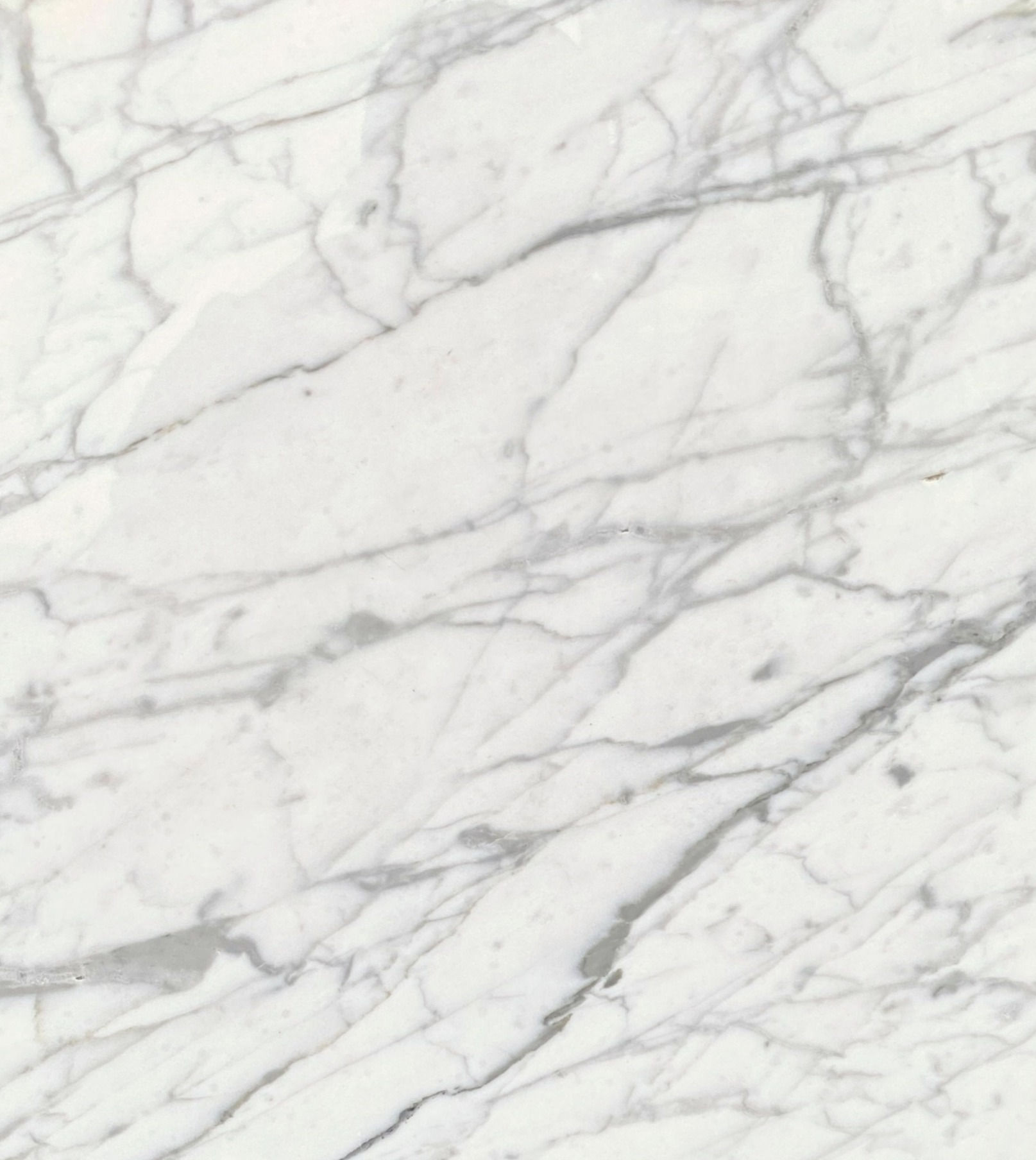 BIANCO CARRARA C VENATO