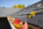 Decorative photo of a roof and gutter with brightly colored fall leaves.