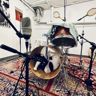 DRUMS