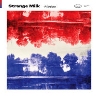 Strange Milk