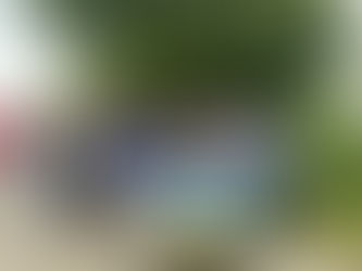 Impressionen der 650 Jahr Feier der Stadt Zons