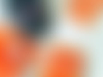 Book Review - Heart the Lover