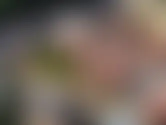 Sweeping government planning reforms cautiously welcomed by industry