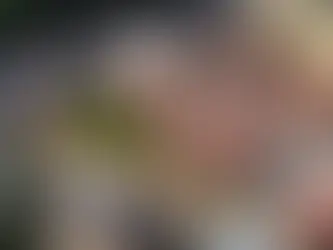 Sweeping government planning reforms cautiously welcomed by industry