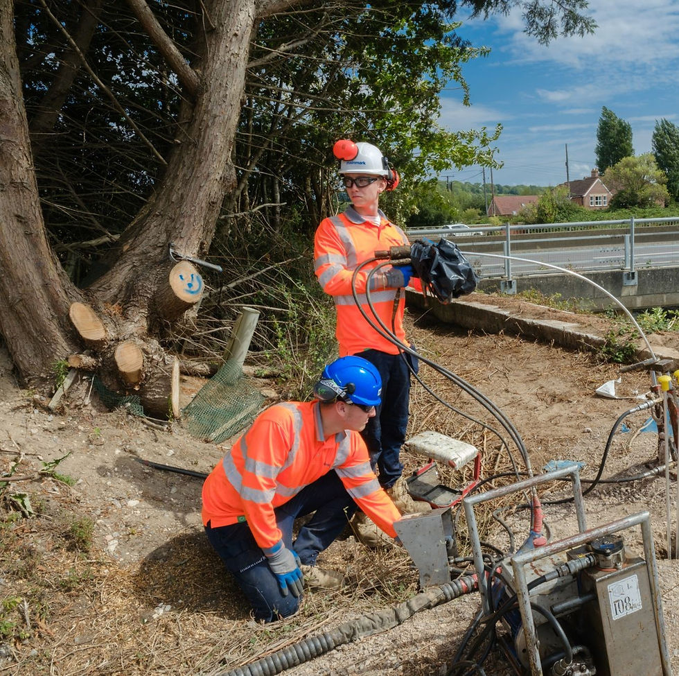 Mast Year for Trees Could Indicate Increased Subsidence Threat