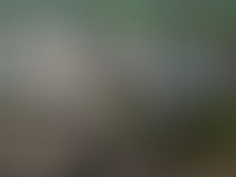 Chancellor declares vision for HS3, HS4 and HS5 despite cost concerns on HS2