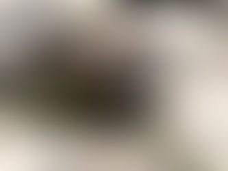 Skanska wins £158m London Docklands data centre