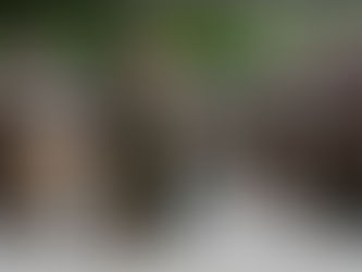 MoD names seven for £5bn construction alliance