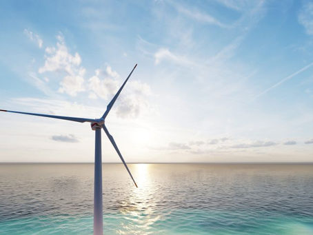 Wood Thilsted, Cowi partner to promote nature inclusive approach to wind farms