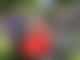 Beyond equipment: The critical role of training in soil, water, and drilling operations