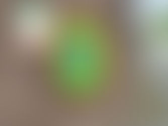 Bedfordshire Neville Special Projects Invests in Defibrillator for Local Community