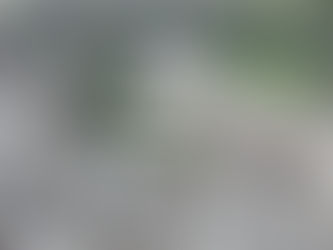 Landslide-hit Isle of Wight road could reopen with ‘early warning system’