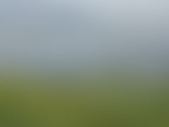 Community rewards seen as driver to gain backing for onshore wind farms