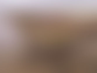 Environment Agency to begin £75M Canvey Island flood protection scheme