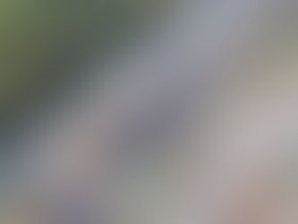 Rock armour and bubble curtains employed on Levenmouth Rail Link river works