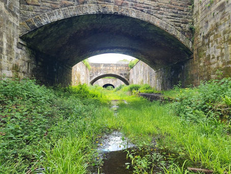 HRE studies biodiversity effect of ground disturbance on brownfield sites