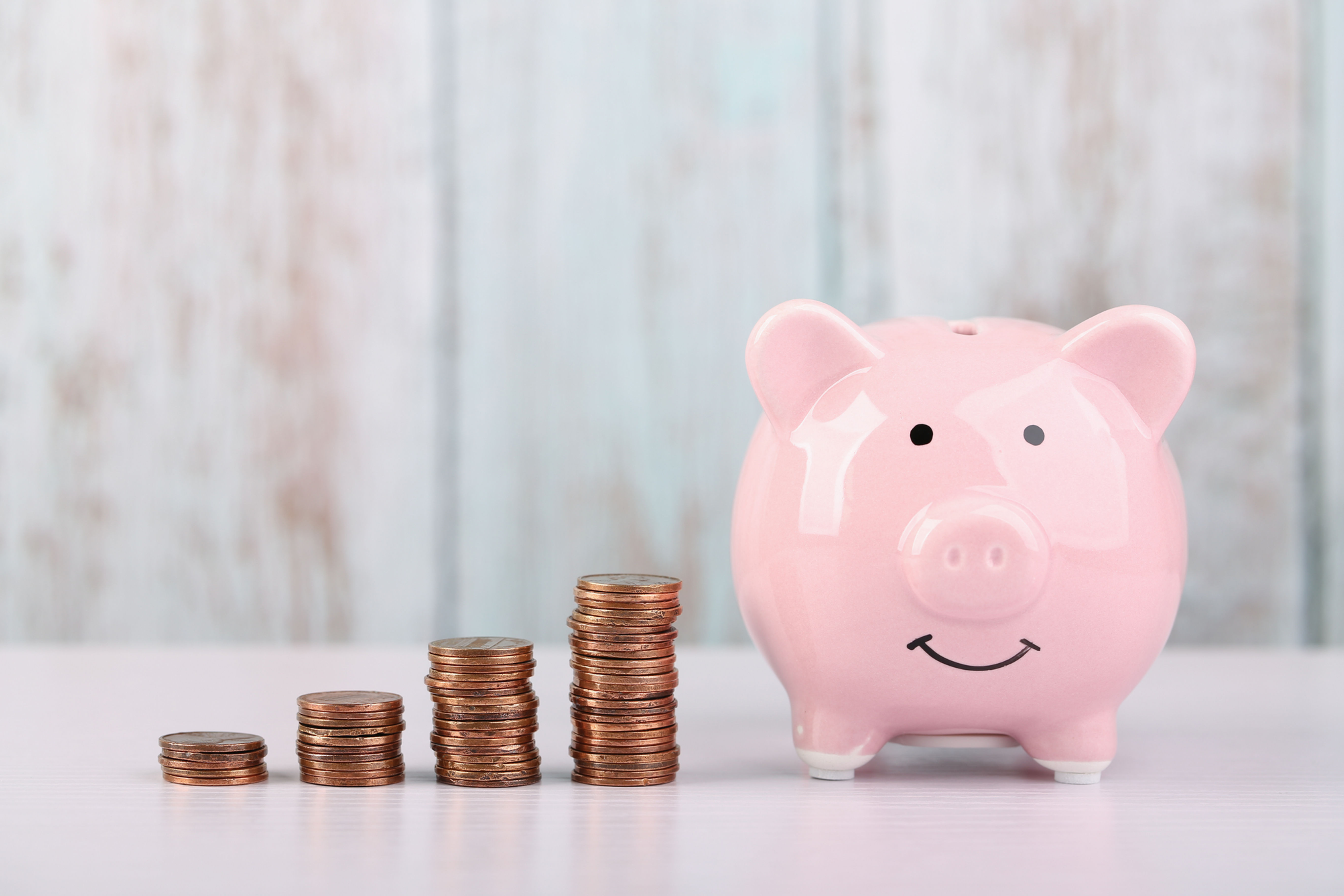 Zur Zeit sind keine Artikel vorhanden