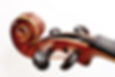 Violin Pegs