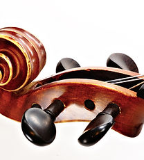 Silver Strings Ensemble Member