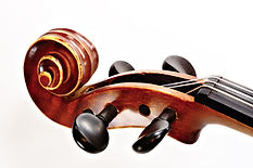 Violino Pioli