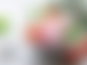 Sorvete de whey caseiro: 3 receitas super simples de fazer