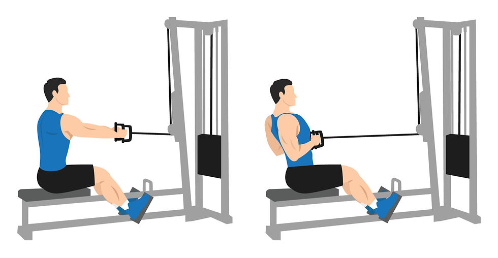 Homem fazendo remada baixa na polia sentado