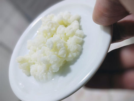Para que serve o kefir? Descubra seus benefícios, cuidados e receitinhas
