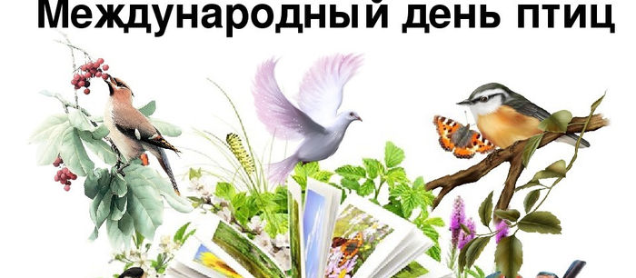 Международный День Птиц