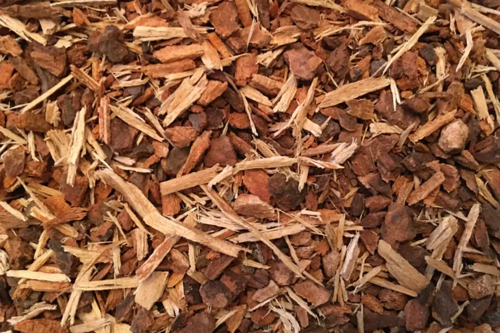Wild Cherry Bark 2 oz.