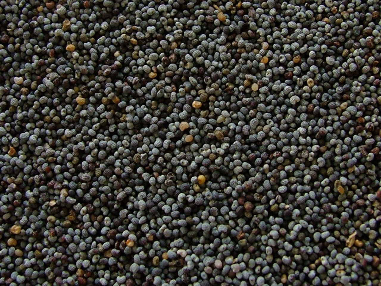 Poppy Seeds 2 oz.