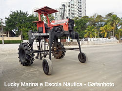 Gafanhoto