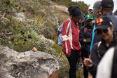 NHLS team on Table Mountain above Baviaanskloof in Hout Bay