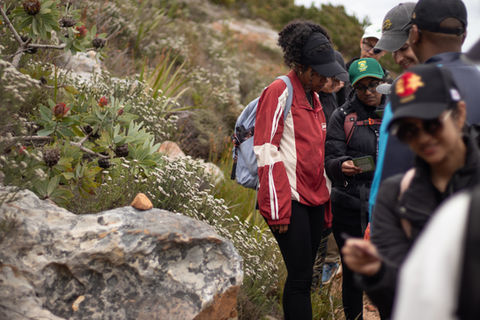 NHLS team on Table Mountain above Baviaanskloof in Hout Bay