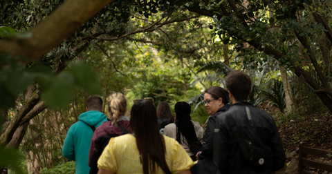 Electrical Industries team in Kirstenbosch on Table Mountain in Cape Town, South Africa