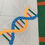 Thumbnail: DNA Strand FPP Science Bookcase
