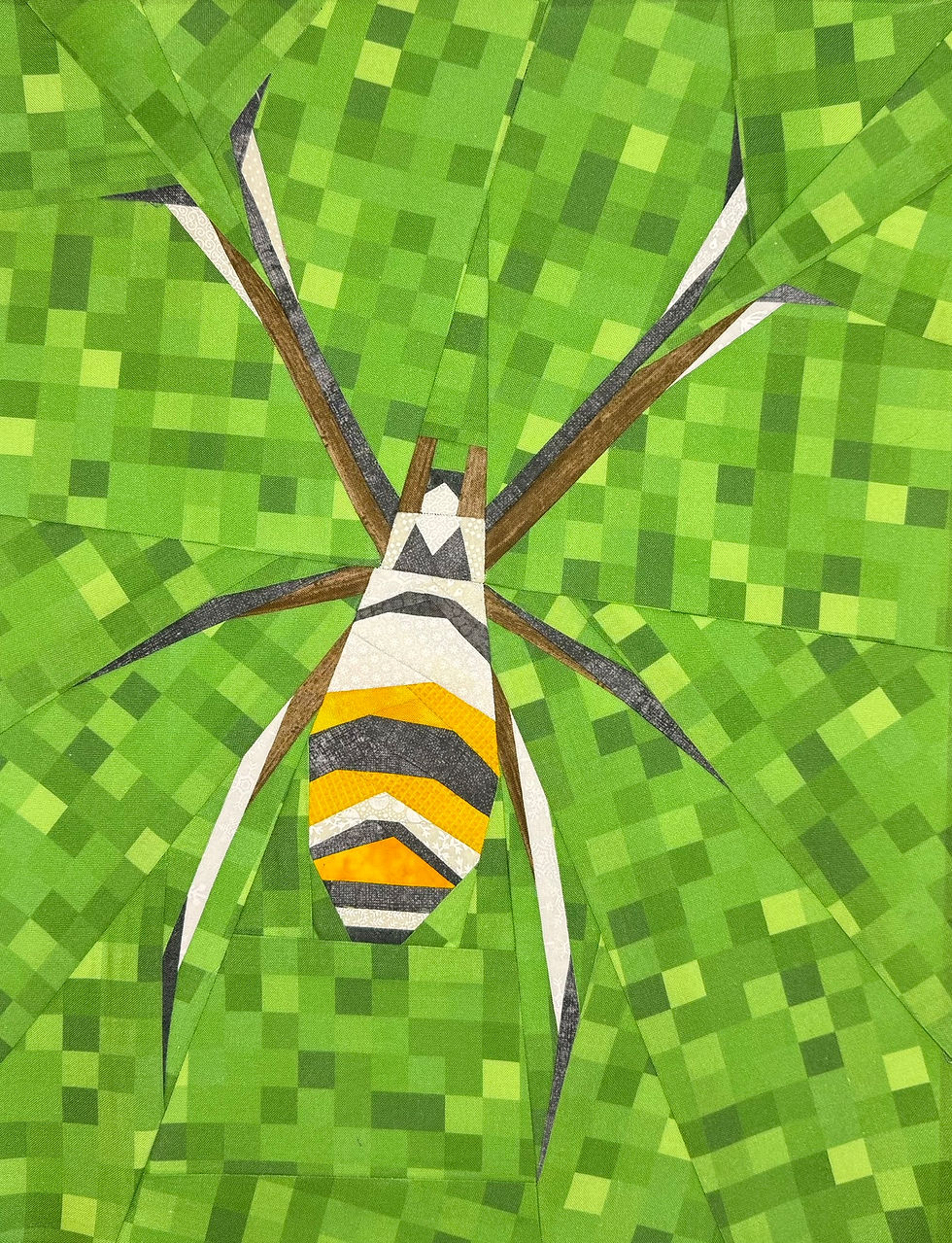 Thumbnail: Garden Spider Insect Bug Paper Pieced Quilt Pattern Block 16"x12"