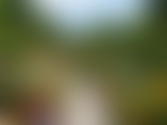 Butchart Gardens Highlights You Can't Miss
