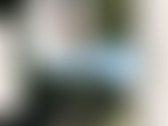 本日(11/2)棚田で開催いたします