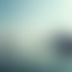 Marketing Rostock Lösungen: Hafenschnack Rostock als Ihr starker Partner