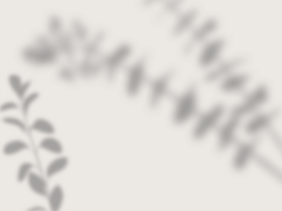 Header shadow bg PB.png