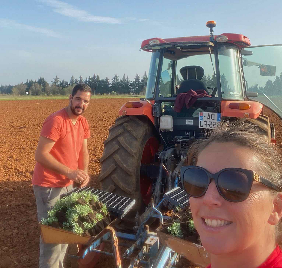 plantation de nos premières plantes aromatiques et médicinales en couple