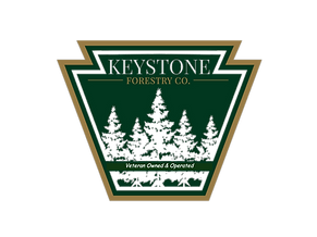 KeystoneForestry_PS_D03d_005b_edited_edi