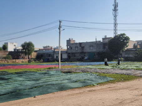 block printed fabric drying in the sun, Bagru
